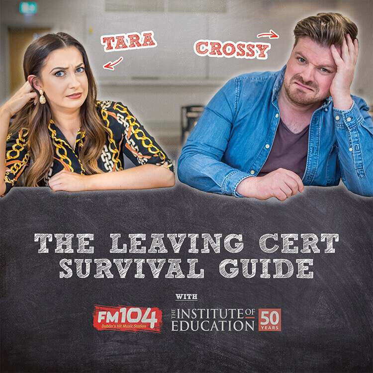 Leaving Cert Survival Guide podcast cover